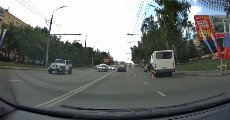 В Орле женщина переходила дорогу в неположенном месте и попала под машину