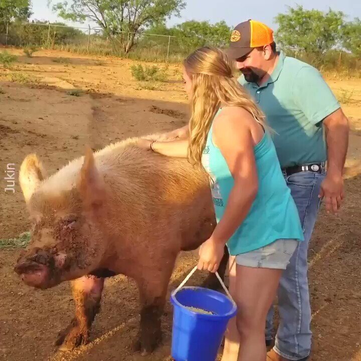 Весёлая подборка