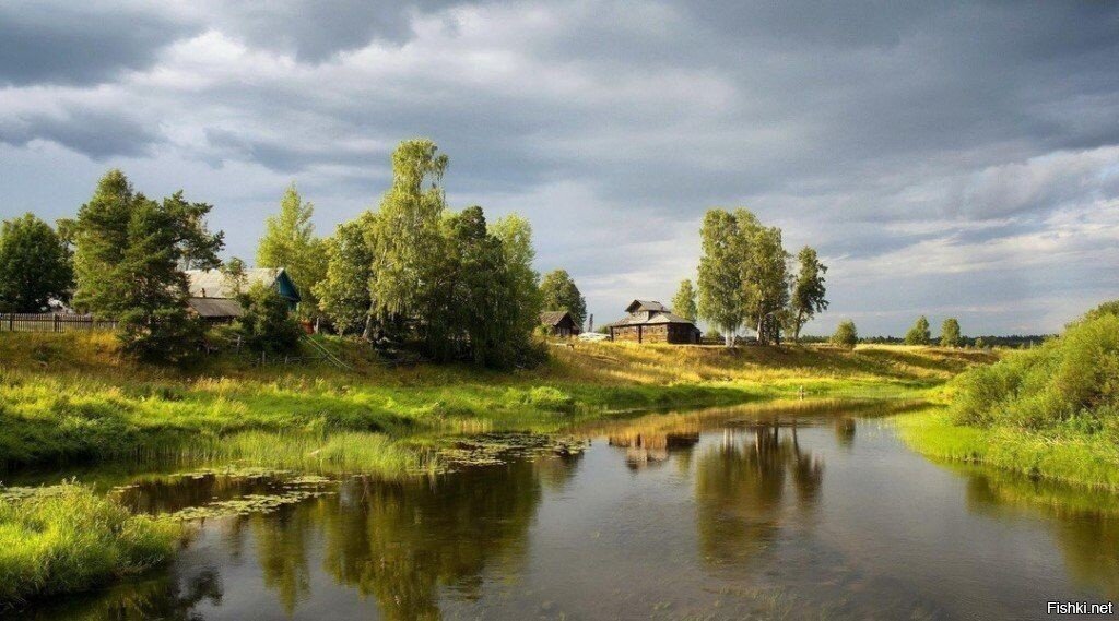 Солянка