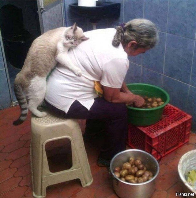 Солянка