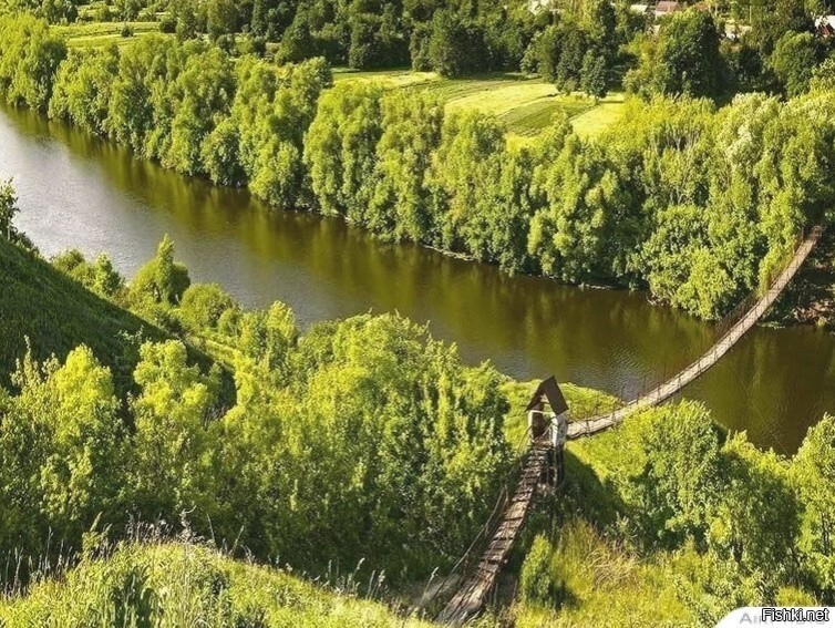 Солянка