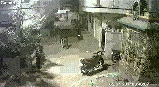 Отважный