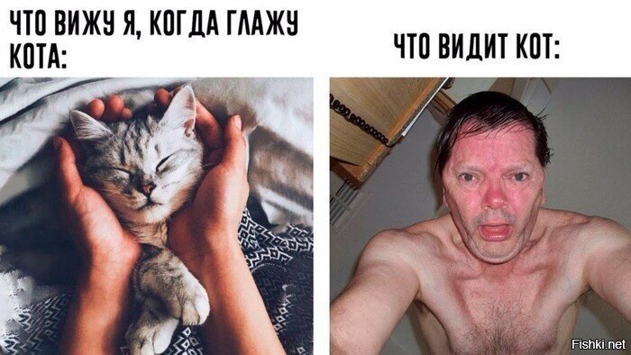 Ну ЧЮ включайте,блин