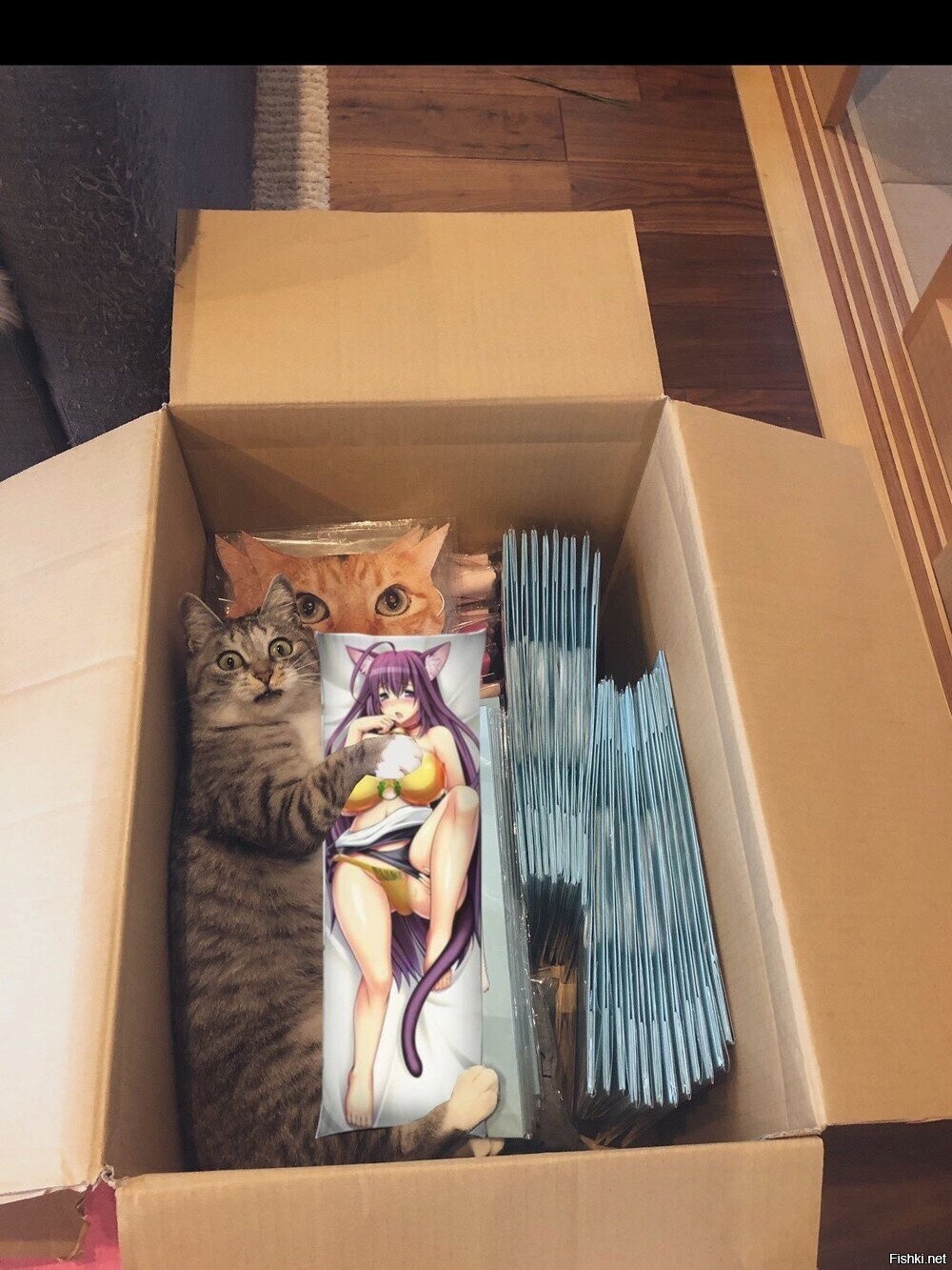 Солянка