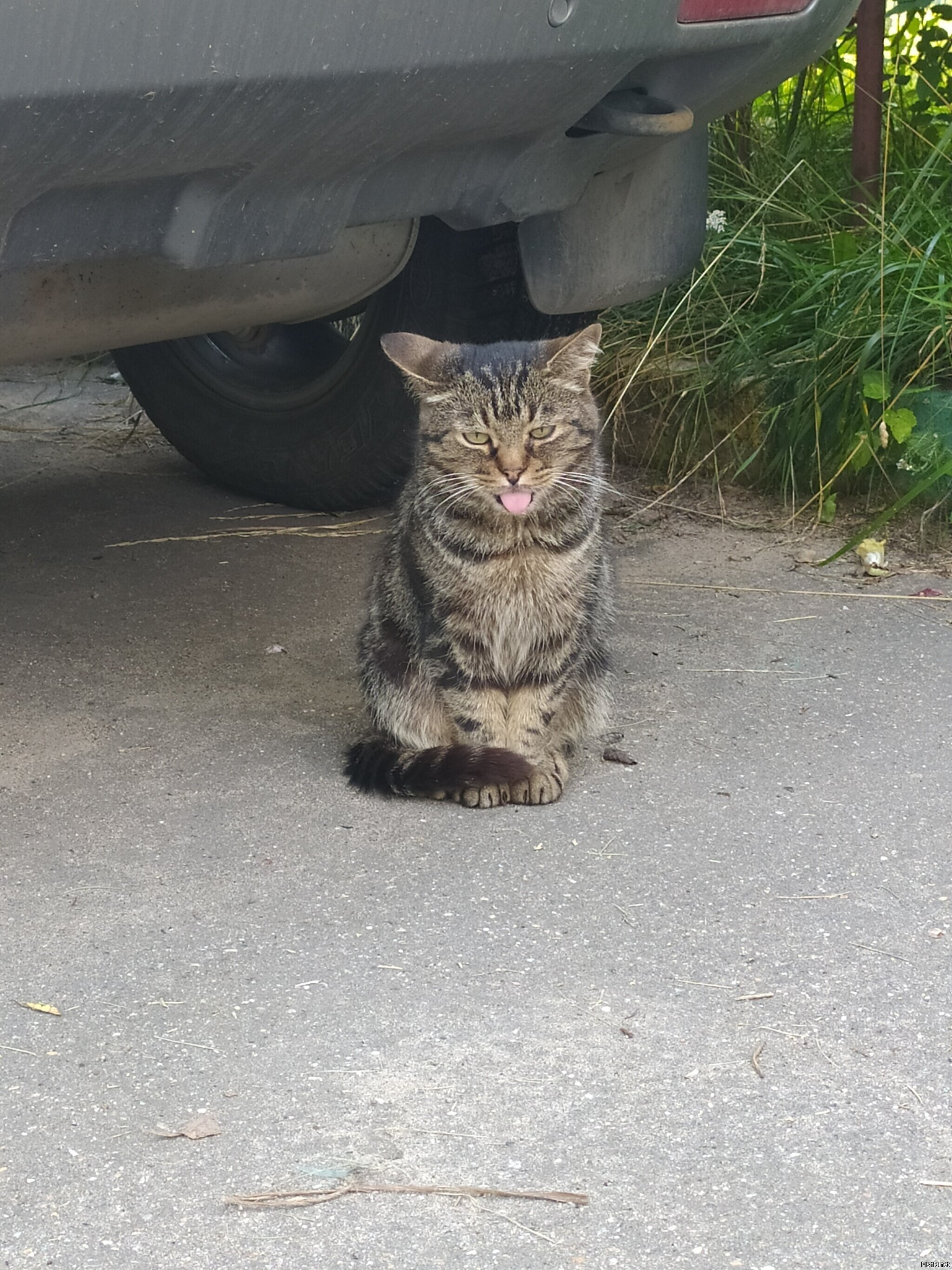 "Жарко мне,чё