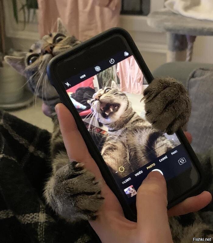 УдОли