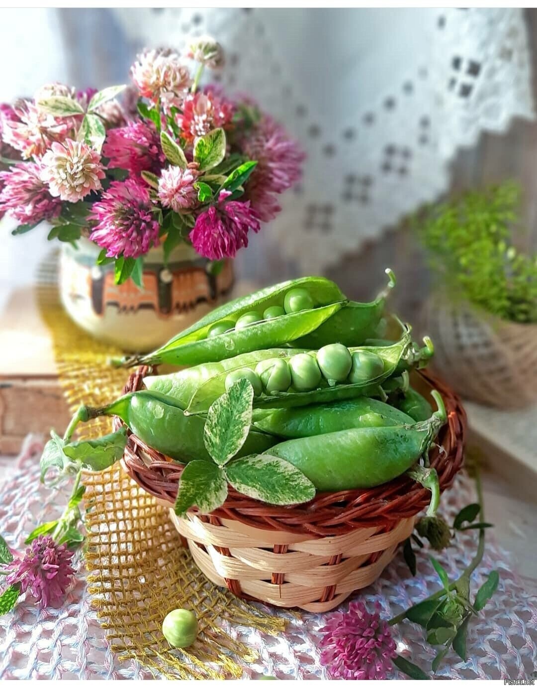 Солянка