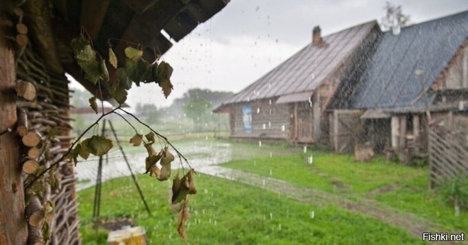 когда каникулы в деревне