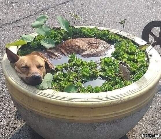 А мне летать охото 