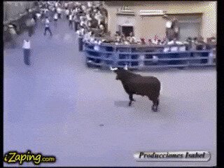 Крокодил Данди на пенсии