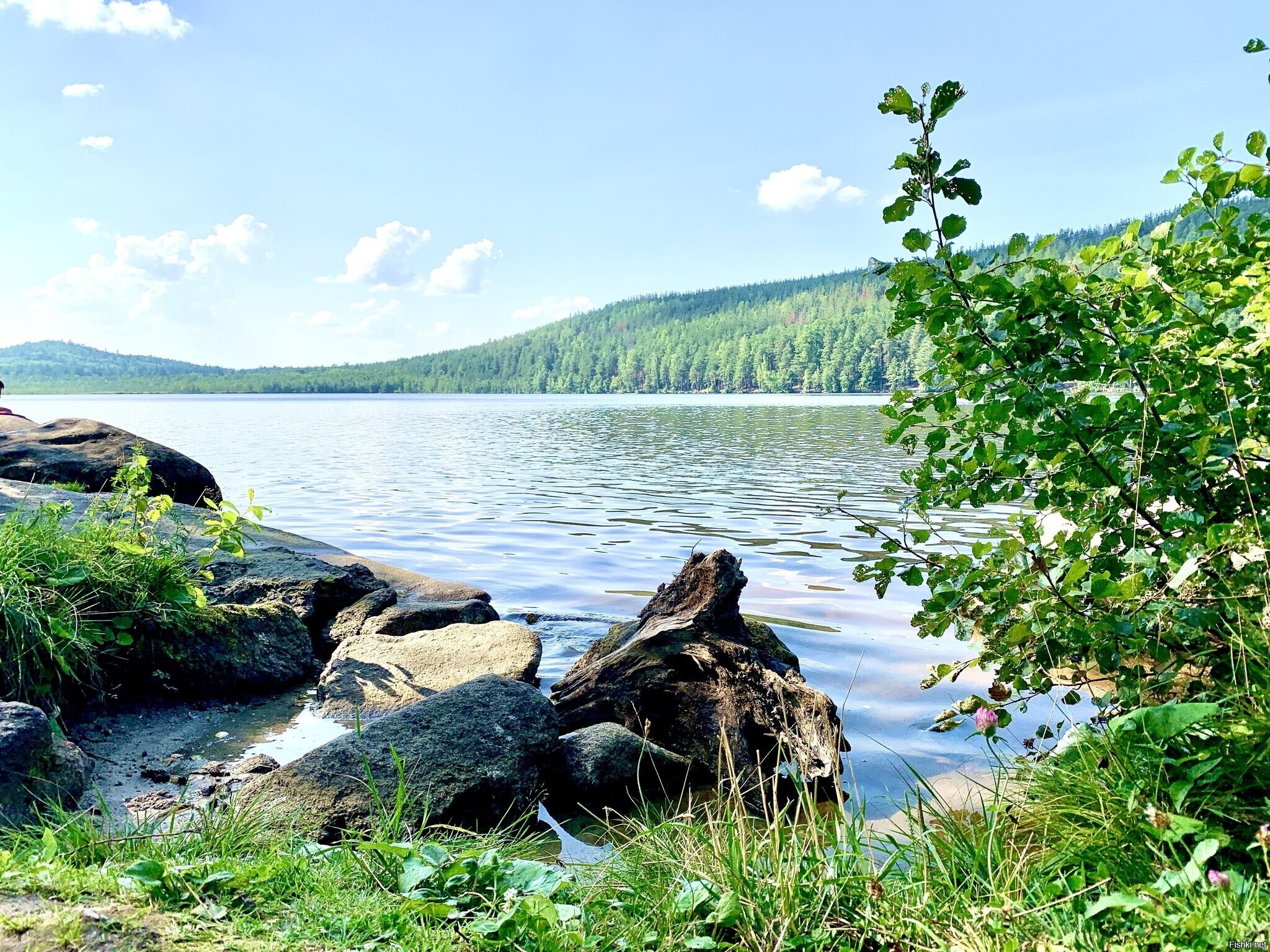 Турция,куюрция