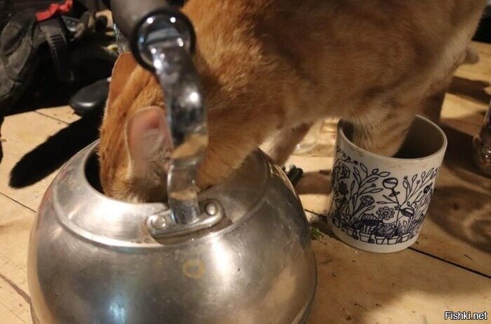 Ну вот как ему объяснить,что так нельзя