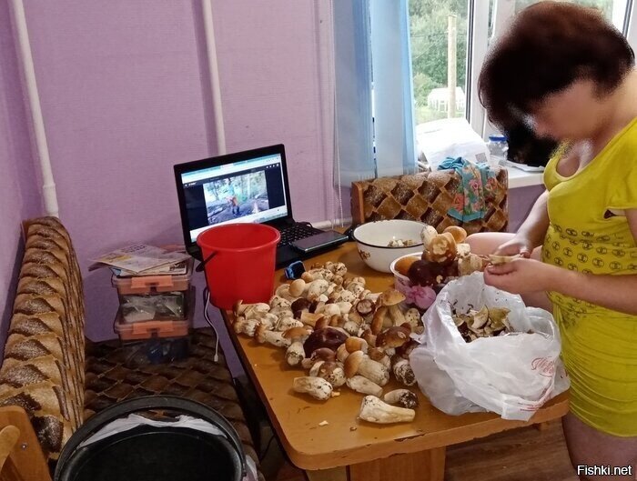 Не моё