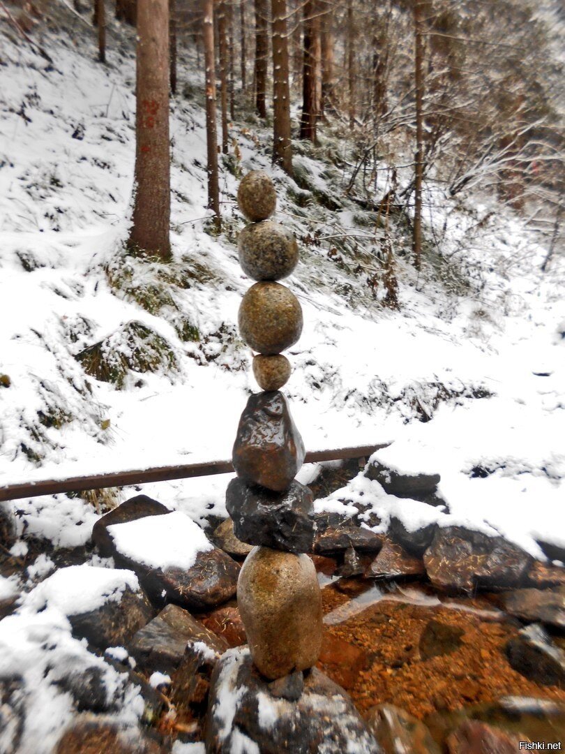 Солянка