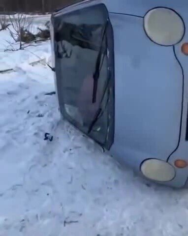 Не сдала