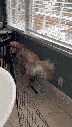 у нас тоже жарко сегодня