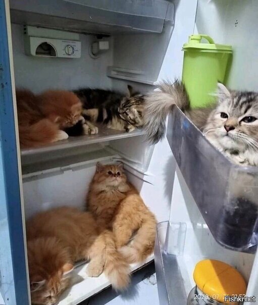 Солянка