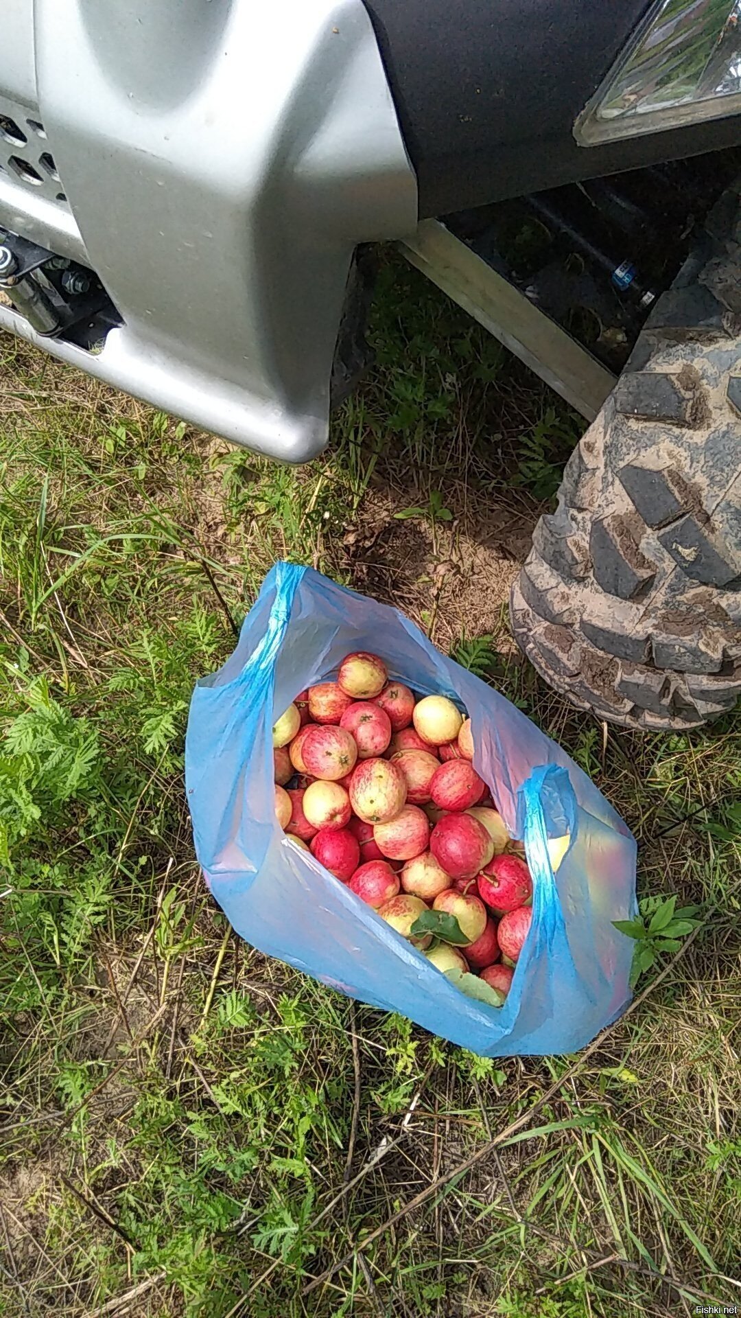 Ездили купаться на озеро