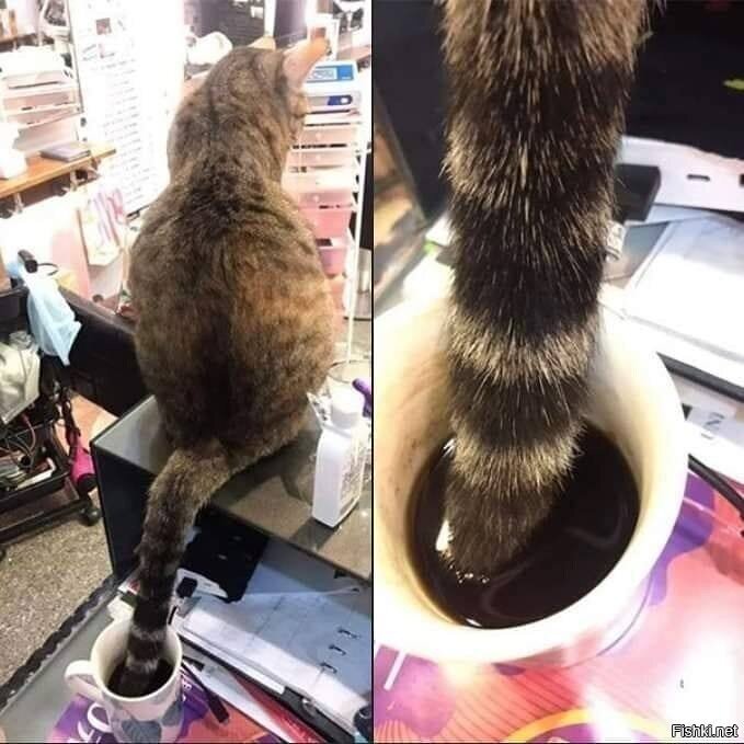 Кофе - отстой