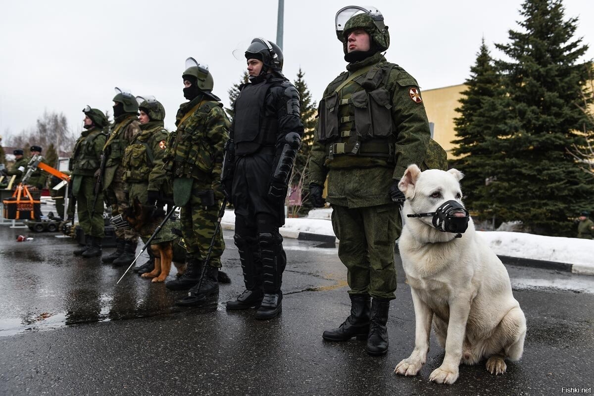 Солянка