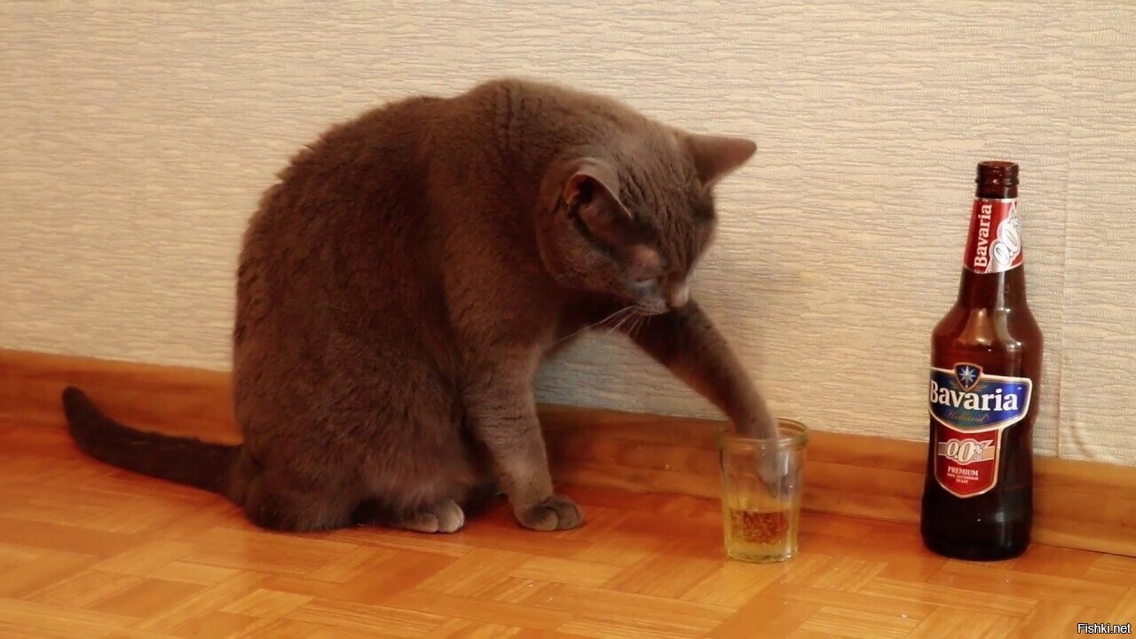 Чё
