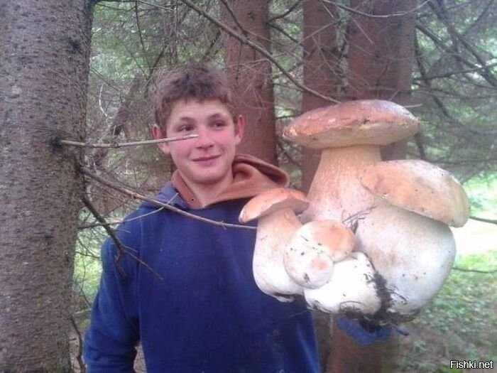 Солянка