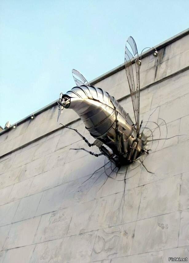 Солянка