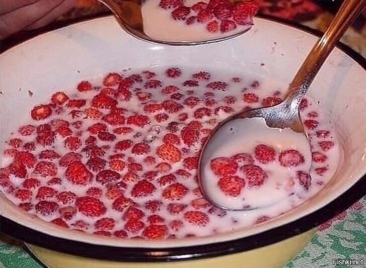 Солянка