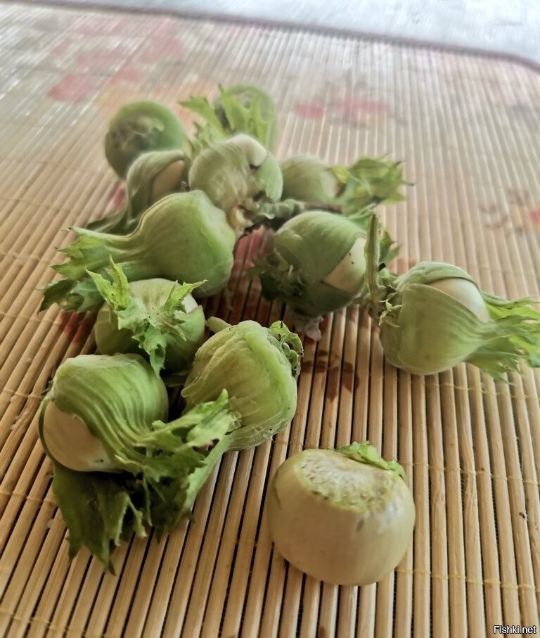 Солянка