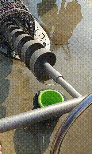 Архимедов винт