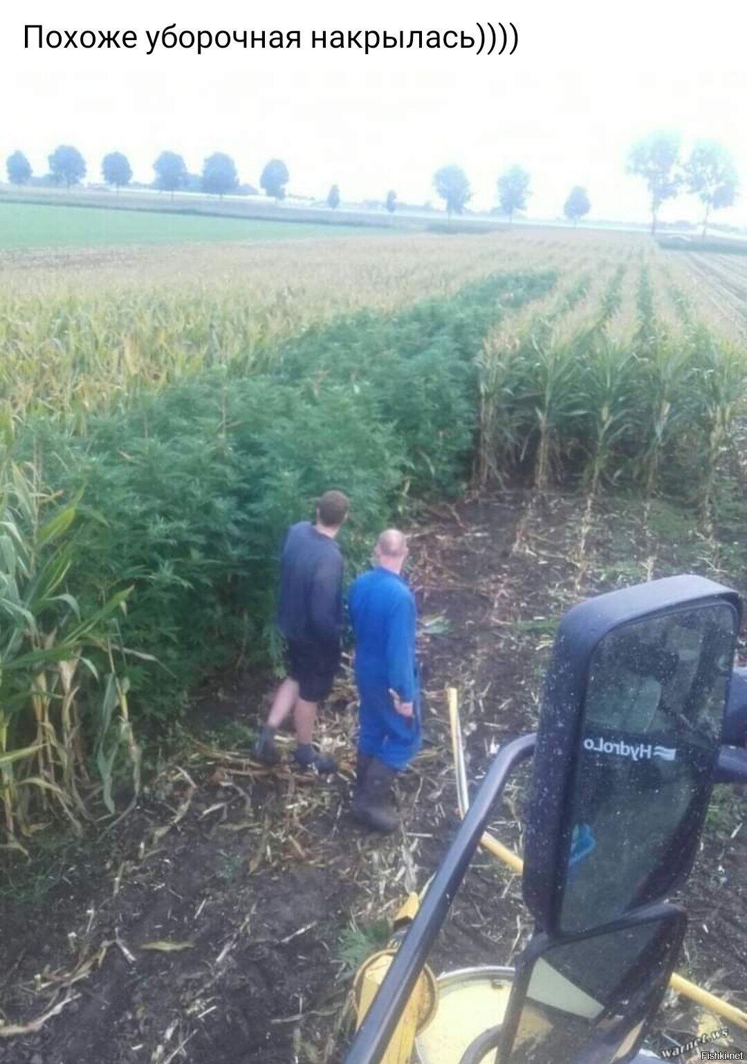 Что выросло,то выросло