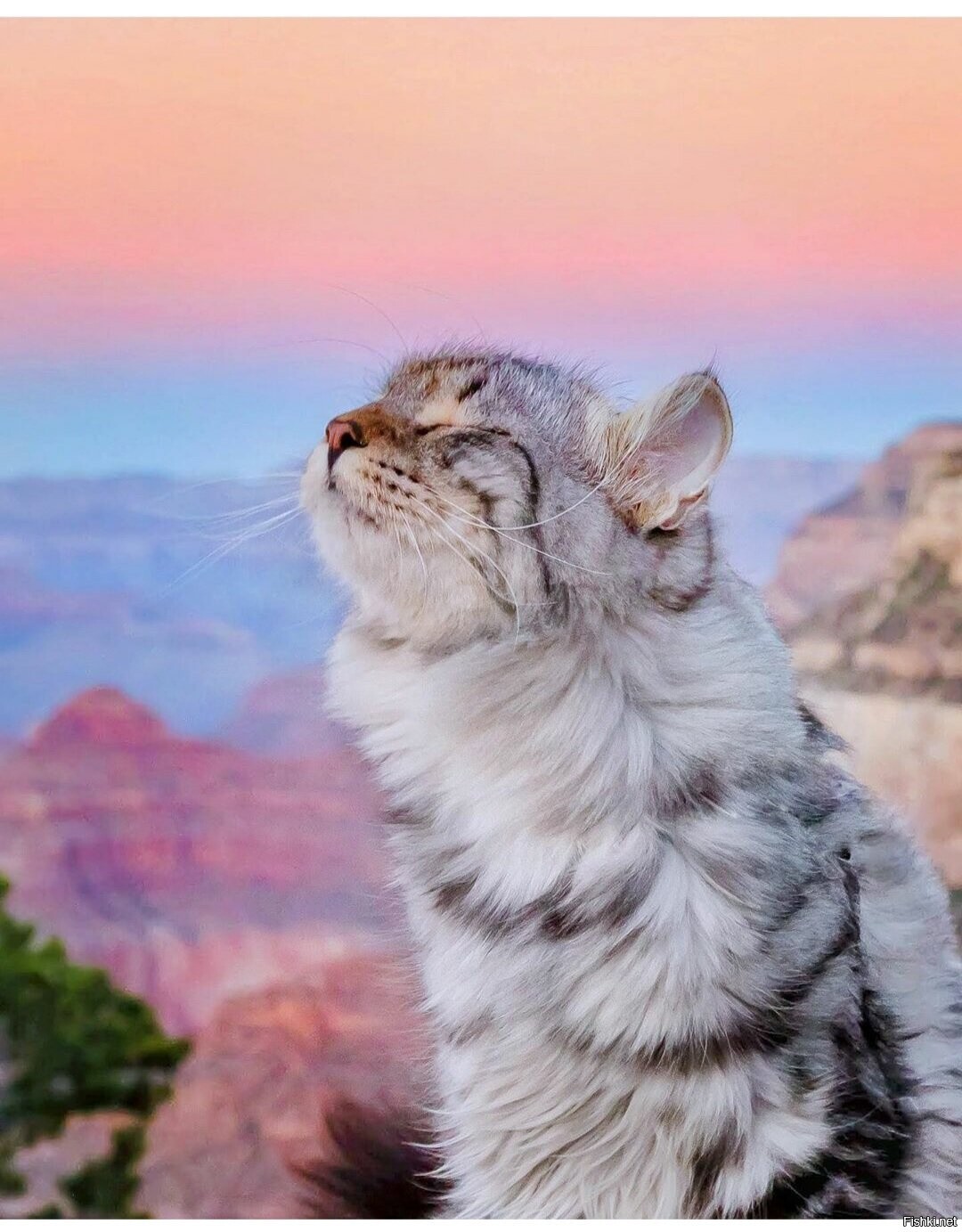 Доброе утро ) Удачной недели