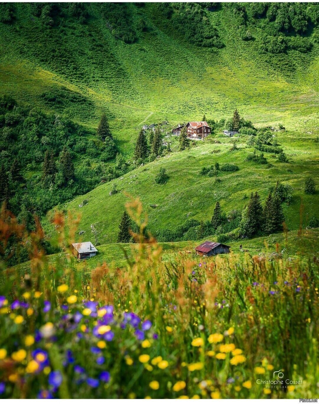 Солянка