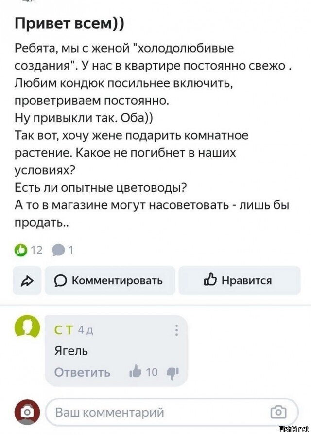 Солянка