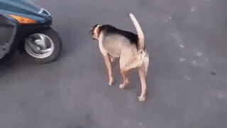 - Да иду уже, иду