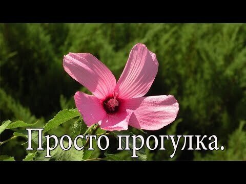 Сегодня в городе