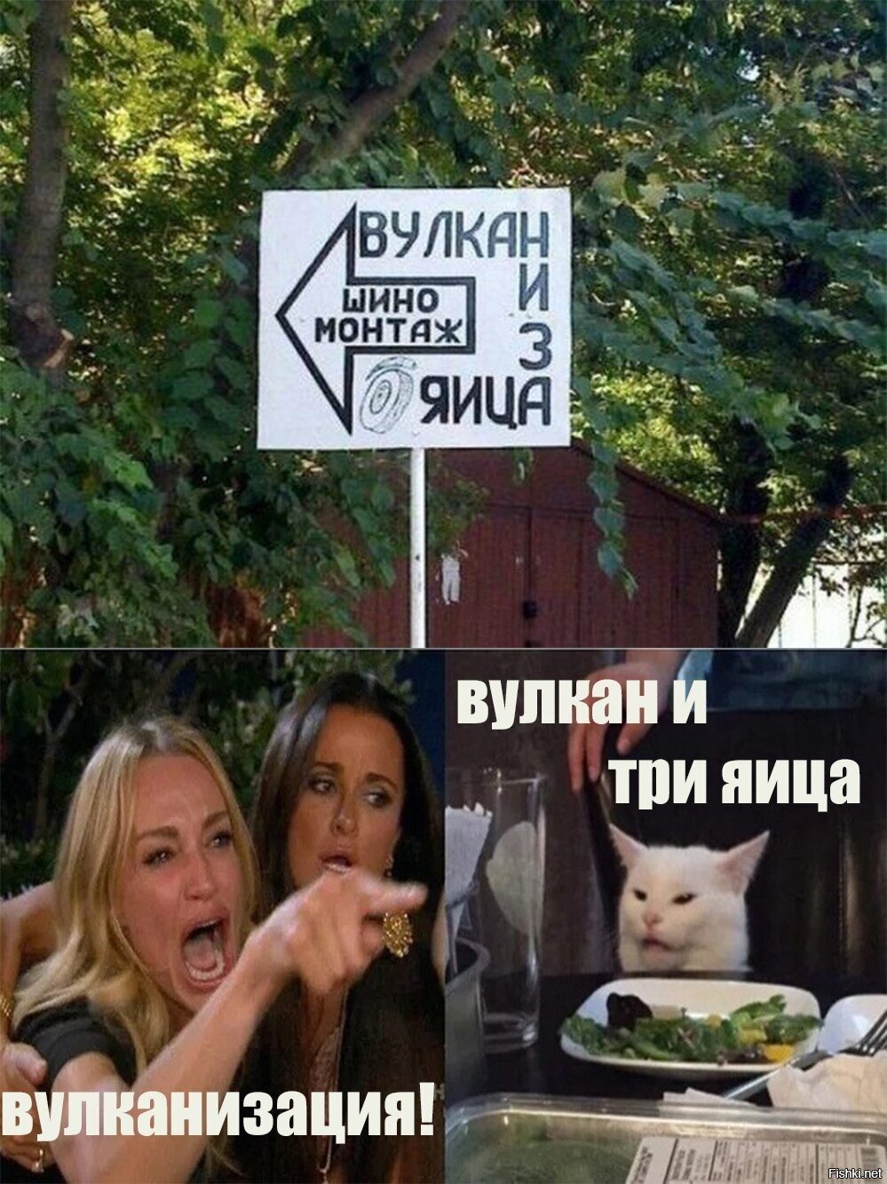Солянка