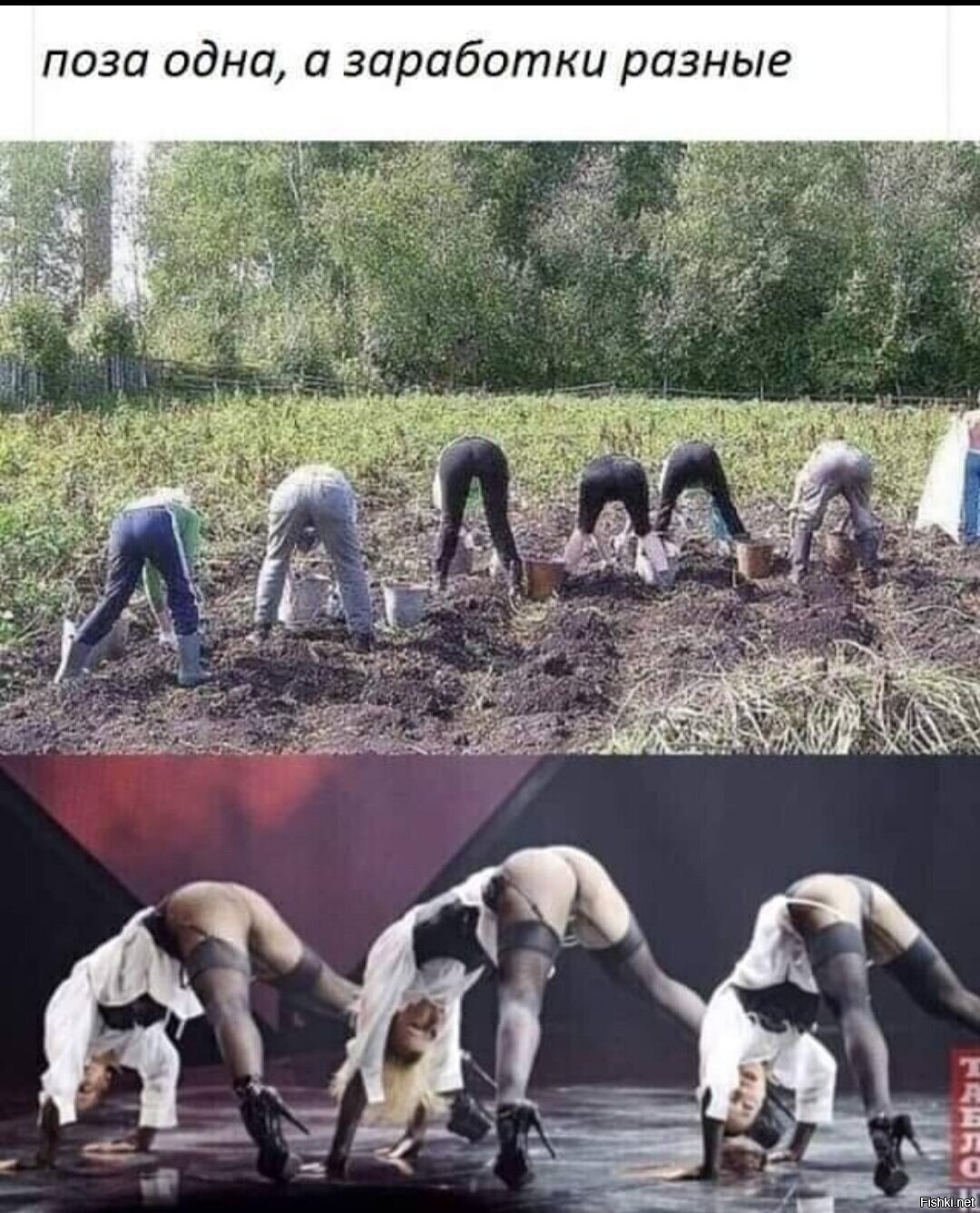 Солянка