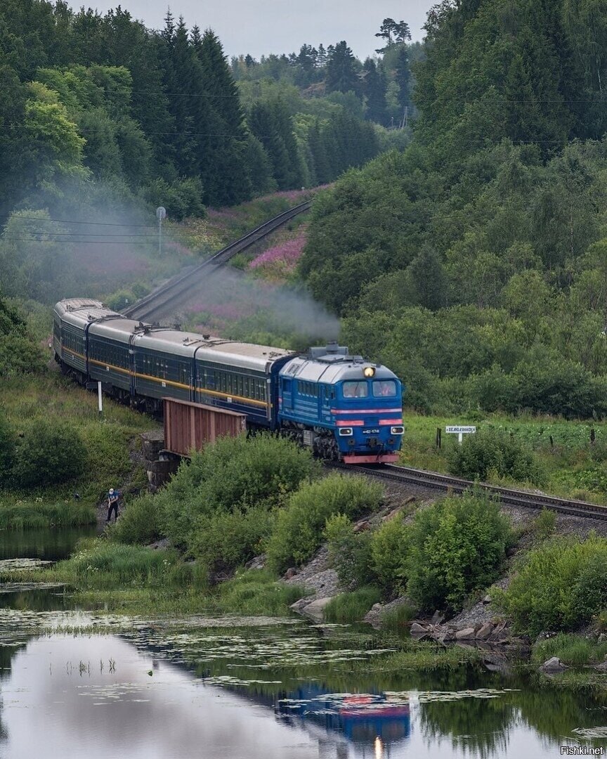 По грибы