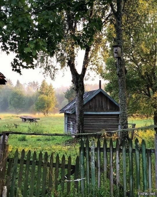 Солянка