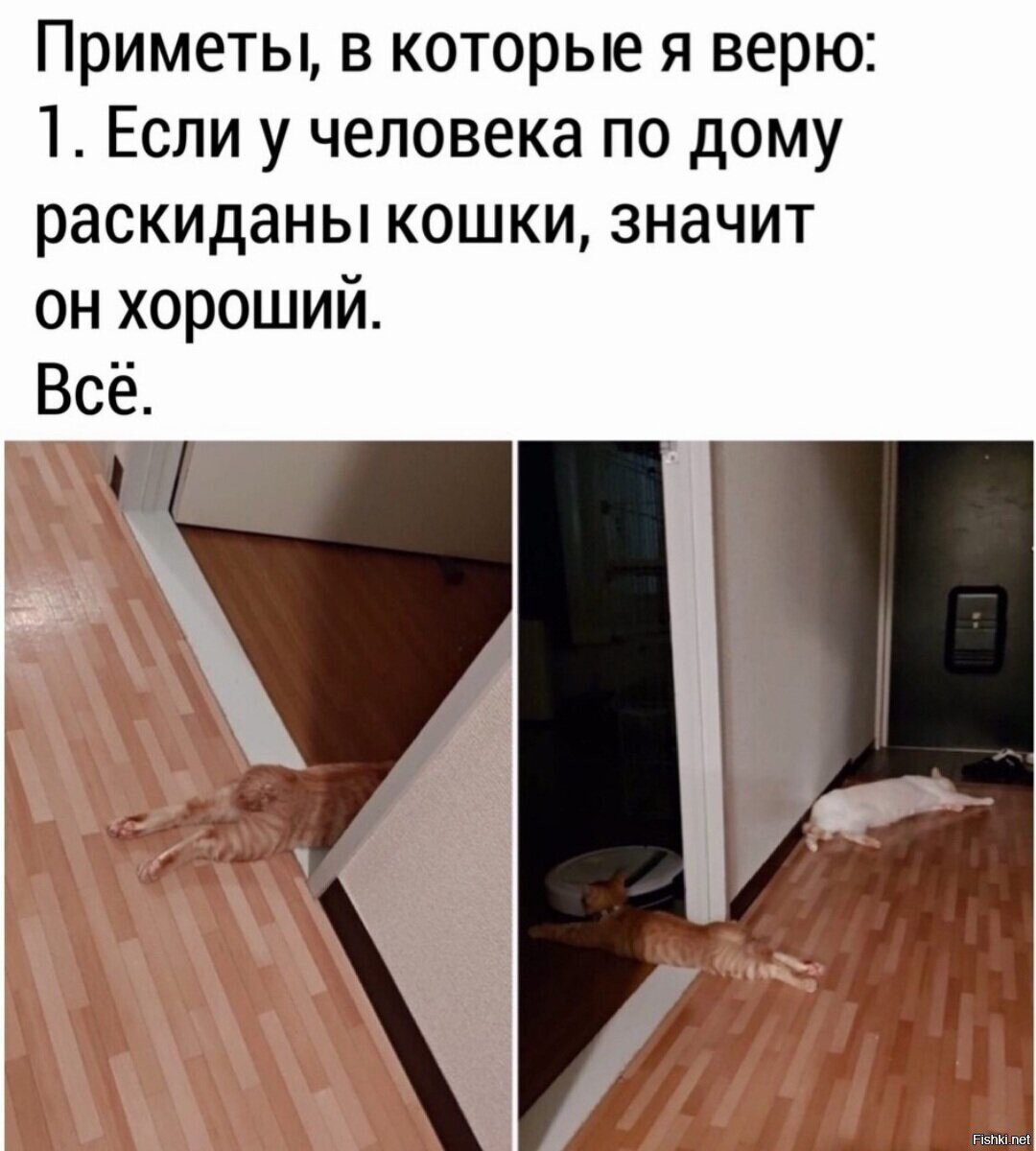 Собакены тоже подойдут
