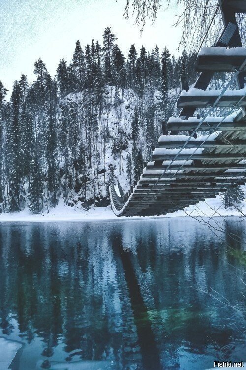 Солянка