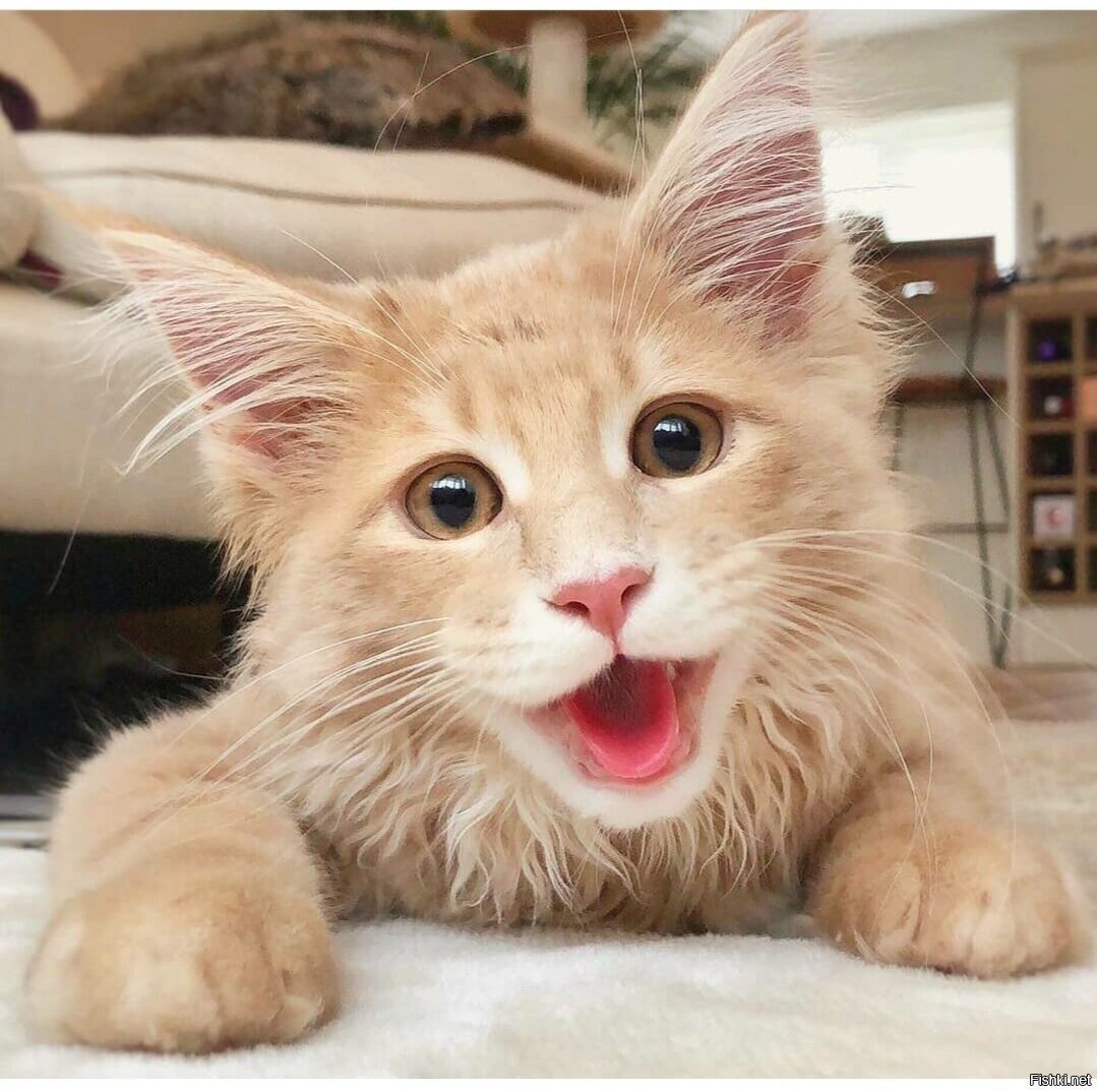 Доброе утро