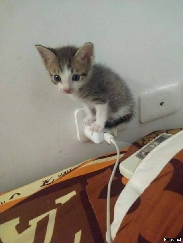 На зарядке