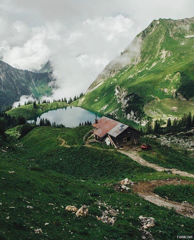 Солянка