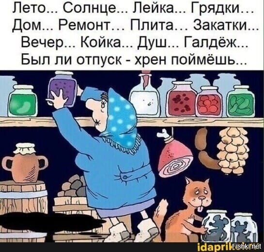 Солянка