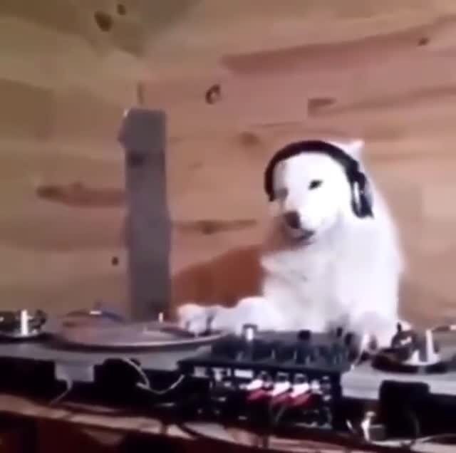 Всех с пятницей