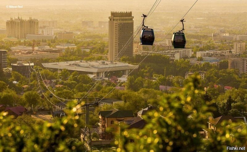 Доброго утра