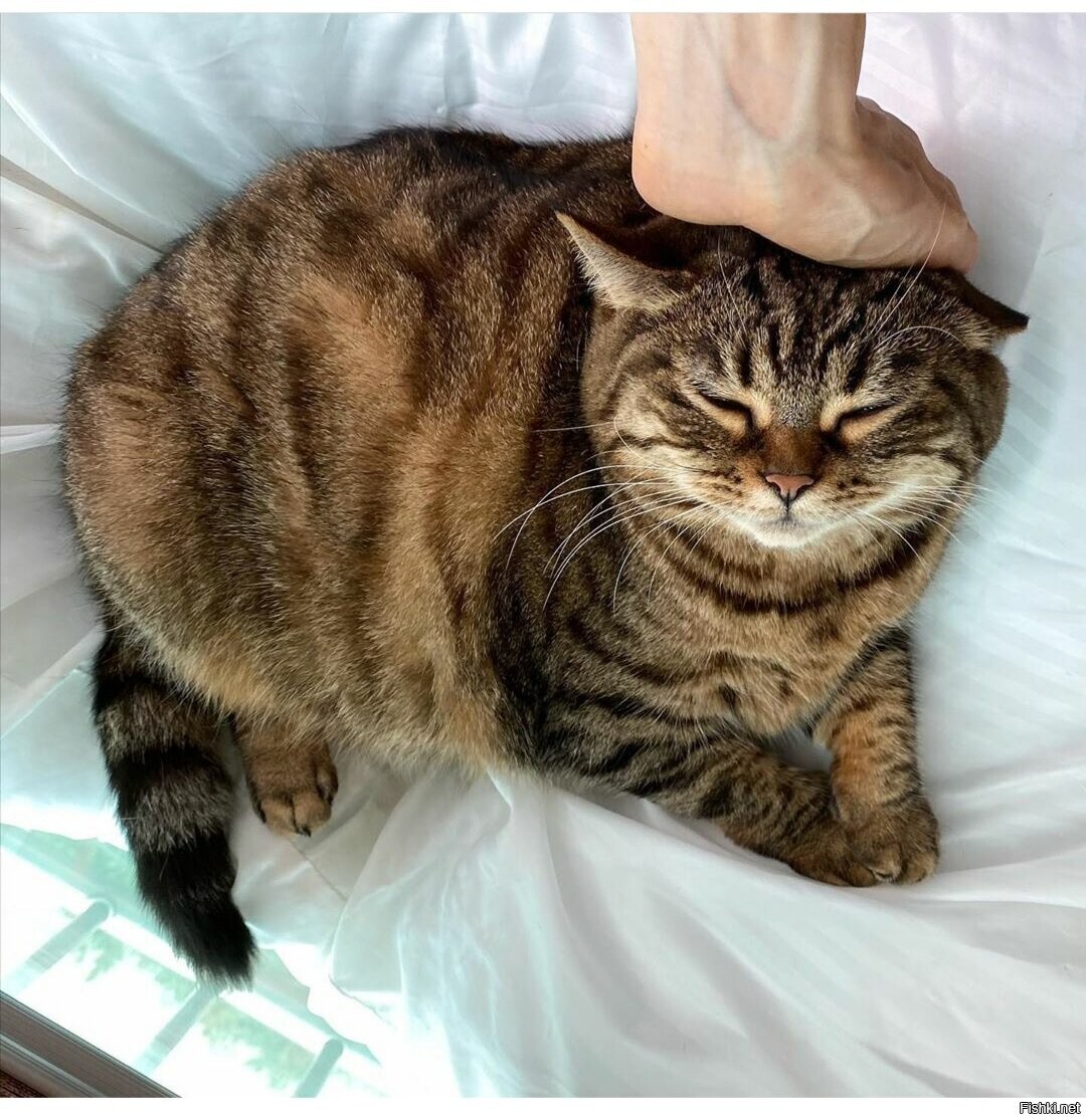 Уютных выходных )