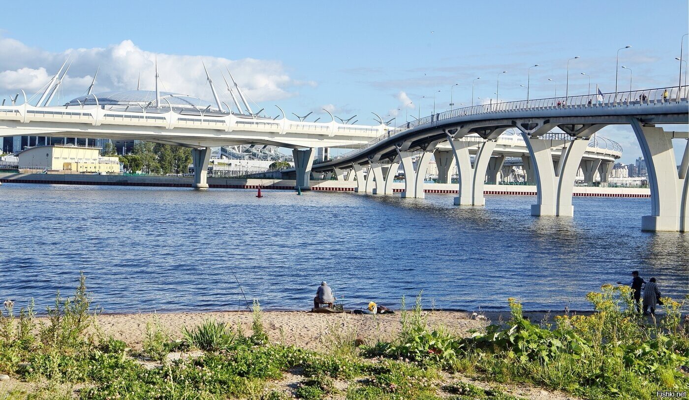 "Рыбалка" в Питере